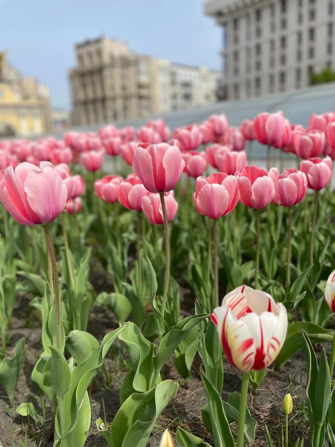 Однокімнатні Апартаменти На Майдані, Дистанційне Заселення 24Х7 Kiev Exterior foto